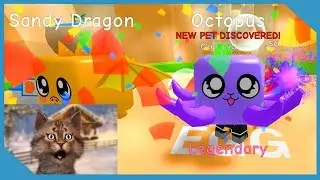 New Beach World and Pets in Roblox Bubble Gum Simulator