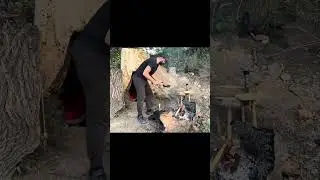 What&rsquo;s for Dinner in the Woods? #bushcraftcooking #wildernesscooking