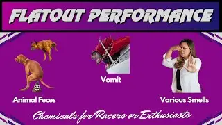 Remove Smelly Odours with Odour Eliminator