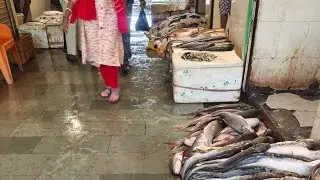 मछली बाजार रीवा ! fish market rewa Madhya pradesh