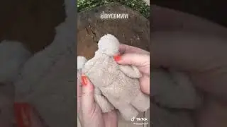diycomvivi 1639351961 7040963053919210758
