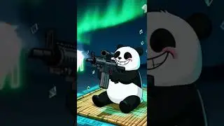 🚀 Pandus Panda Coin in ACTION MODE 🐼💥 | Start Buying NOW & Join the Panda Army! 🔥🔥