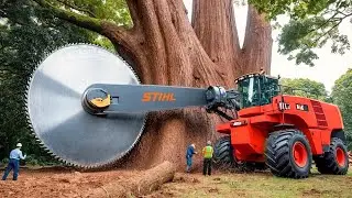 Farmers Use EXTREME Big Chainsaw and Agricultural machines to Take Down Everything in Their Way