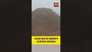 #coldwave Tightens Grip: Dense Fog Blankets #mayurbhanj as Winter Bites Odisha