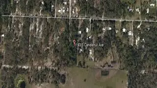 1193 S Candlenut Avenue Homosassa FL 34448