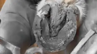 From Start to Finish - Satisfying Hoof Restoration /  Farrier Asmr. ##trim #hoof #horse