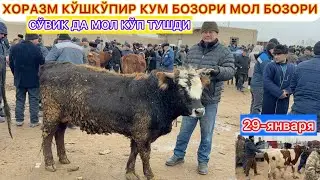 СЎВИК ДА МОЛ КЎП ТУШДИ ХОРАЗМ КЎШКЎПИР КУМ БОЗОРИ МОЛ БОЗОРИ НАРХЛАР КАНДАЙ? 29-января