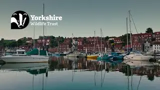 Keep Whitby&rsquo;s Waters Clean: A Guide for Boat Owners