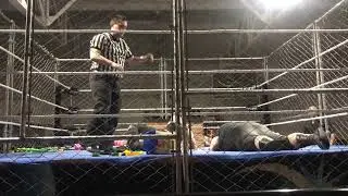Eclipse Wrestling: ManChild Vs Madd Maxx Morrison