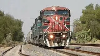 TRENES FERROSUR CON ESQUEMAS RANAS EN EXTINCI&Oacute;N EN TEOTIHUACAN. 