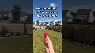 Creating a backyard putting green ⛳️⛳️⛳️