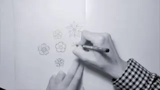 Drawing ornamental flowers  - The Colours of Rome