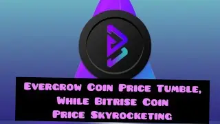 Evergrow Coin Price Tumble, While Bitrise Coin Price Skyrocketing