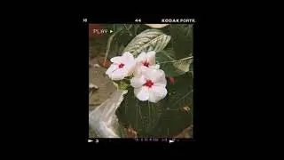 [FREE FOR PROFIT] JANI  X AUR TYPE BEAT  - 