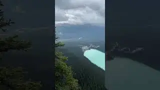 Lake Louise Tea House Challenge #banff #lakelouise #hikingadventures #hiking