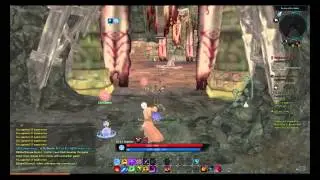 Tera Online - Bastion of Lok Solo Sorcerer