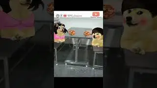Cheems &times; happy cat😂 | Cheems | Doge| #cheems #trendingshorts #trending #viral