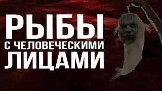 САМАЯ РАССЛАБЛЯЮЩАЯ РЫБАЛКА ► Mourning Tide