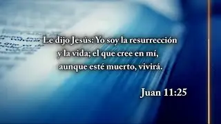 “LÁZARO ¡VEN FUERA!”