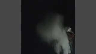 Freestyle