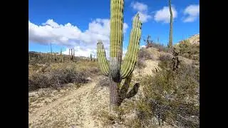 Baja Cactus Canyon 2023 p1