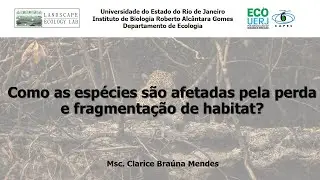 Palestra XV CEB - Como as espécies são afetadas pela perda e fragmentação de habitat?