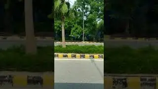 N Khush dil(2)