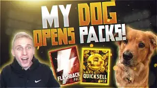 When DOGS (kinda) Play Madden!
