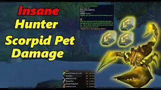 SOMEWHAT NERFED | SoD Hunter |  Scorpid Pet INSANE Damage Guide