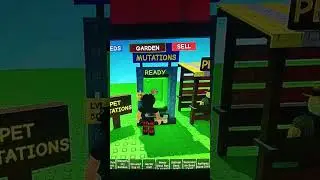 Getting rainbow on Disco bee