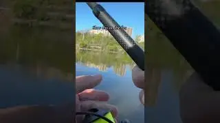 Tough day #carpangler #fishing #carp #foxriver #carpfishing #polish #fish #fishinglife #catfishing