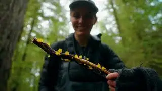 Journey into the Living Stories of Haida Gwaii