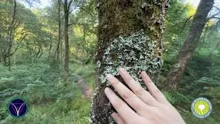 Loch Lomond & Trossachs National Park: Aberfoyle Discovery Part 2 | Relax & learn about nature
