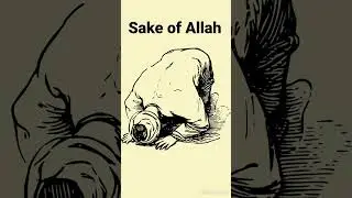 Why are animals sacrificed on Eid-ul-adha?