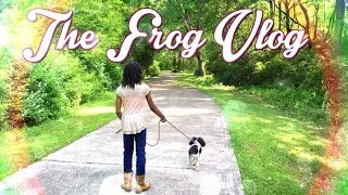 The Frog Vlog: Sunday Afternoon with the Froggies