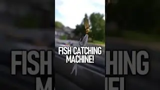 This Fishing Lure is AMAZING!