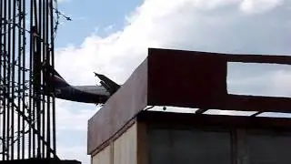 airbus a 319 landing in kurumoch rw05
