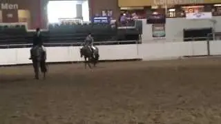 Shift's Illusion AQHA