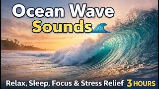 Ocean Wave Sounds 🌊 | Relax, Sleep, Focus & Stress Relief