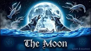 Tarot Meanings Deep Dive - Full Moon Tarot Reading: Release and Reflect
