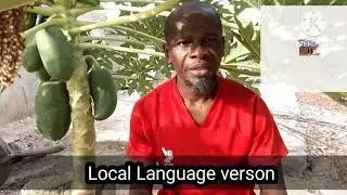 Why UrbanTV Gambia Hasn&rsquo;t Posted Recently