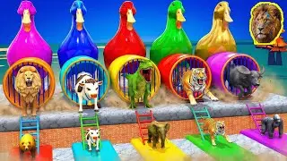 Long Slide Game with Cow Elephant Gorilla Hippopotamus Tiger 3d Animal Game Funny 3d Animals