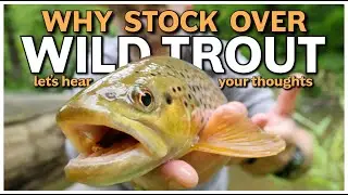 Why Stock Over Wild Trout (A Pennsylvania Fly Fishing Story)
