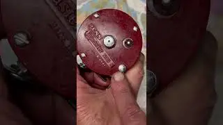 Penn JigMaster 500S fishing reel of the day #fish
