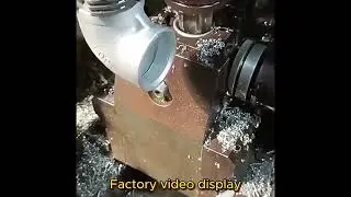 Advanced Production Line & Quality Control: Factory Overview