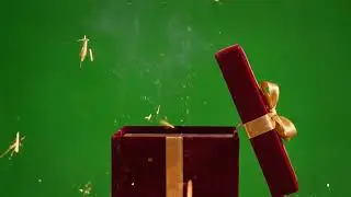 Firework Christmas Gift Box Opening Green Screen Effect (Seamless Loop) 03