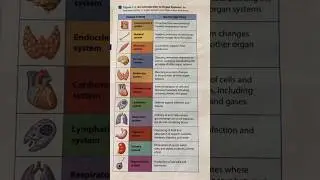 organ system and their functions