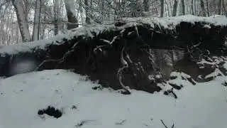 Neve abbondante nelle Serre Calabresi, localit&agrave; Mangiatorella fino al bivio per Nardodipace 2026