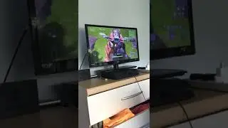 Parrot plays fortnite (Rage quits)
