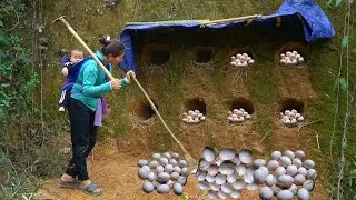 The chickens in the backyard - the economic support for the poor mother and daughter.